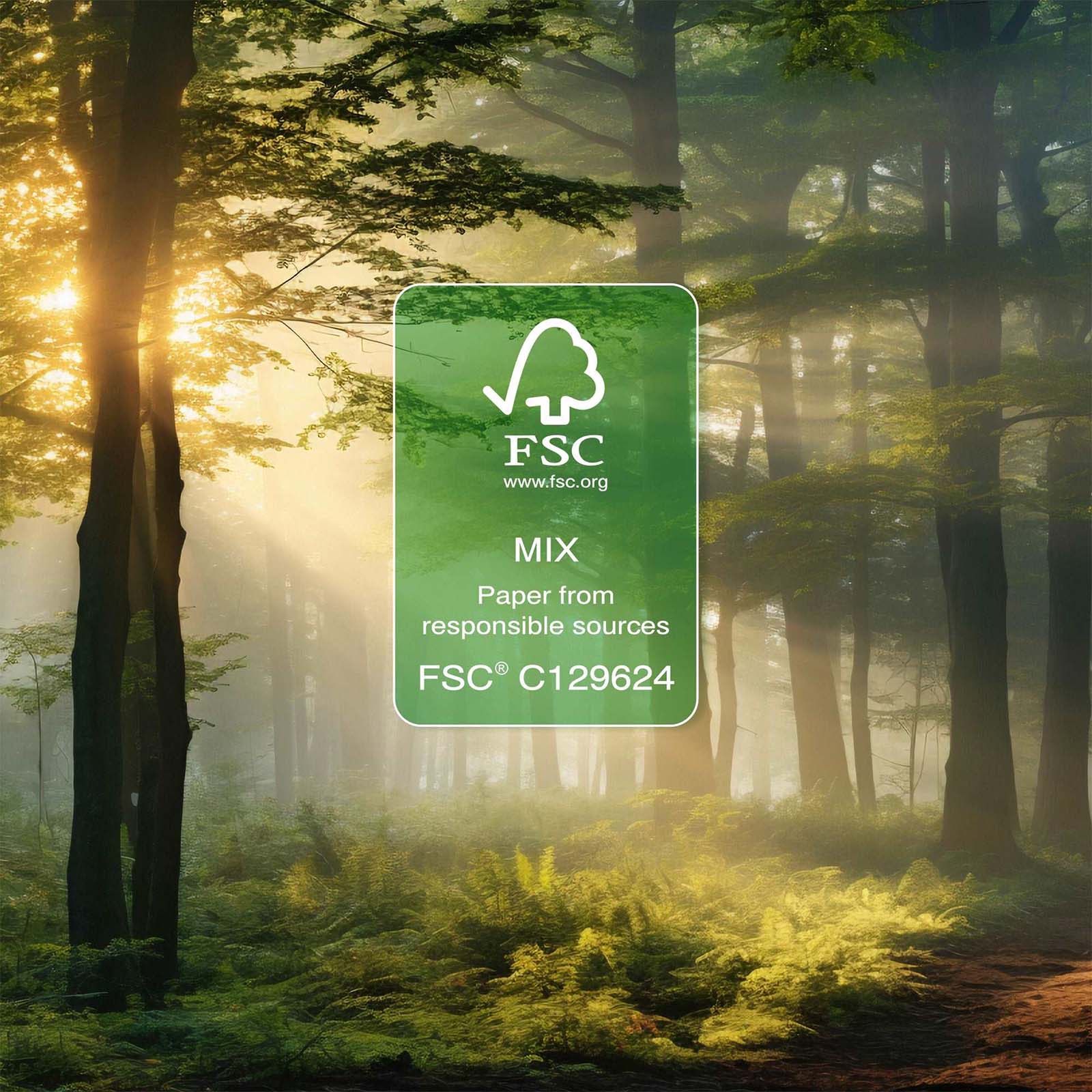 FSC certification logo in a forest setting with sunlight filtering through the trees.