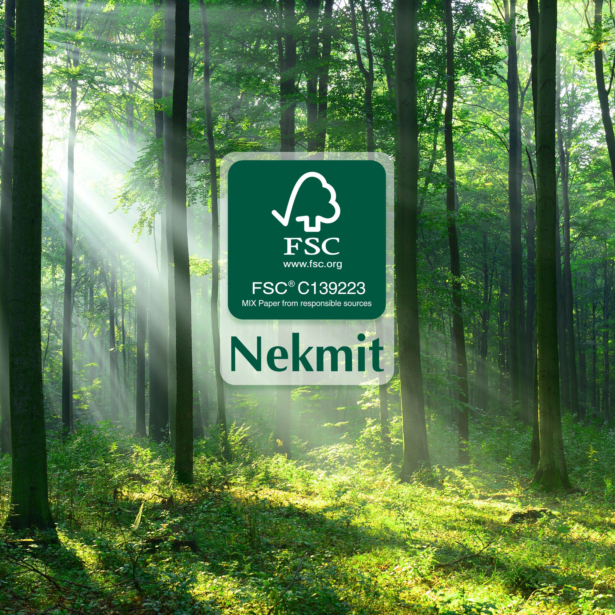 Nekmit Academic Undated Teacher Planner 8.5" x 11"